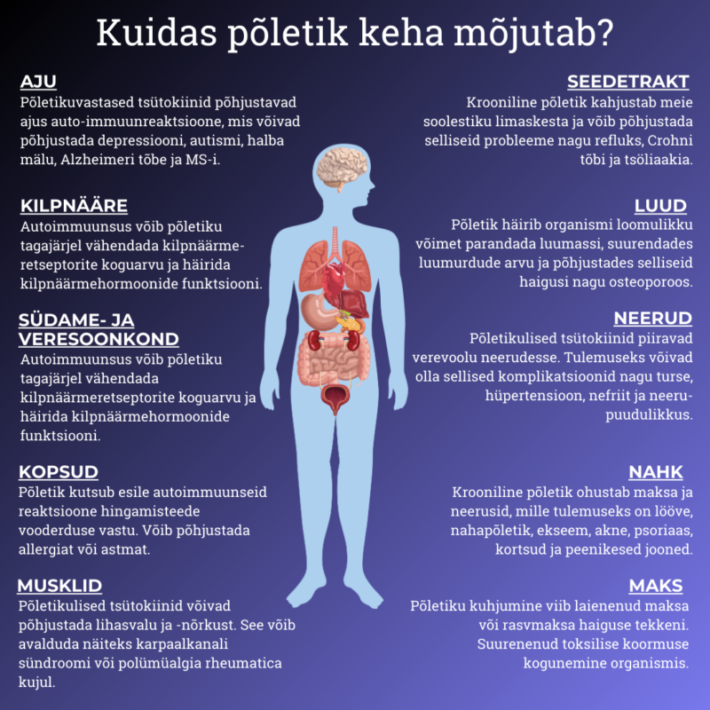 Salla-Pringi Mesila